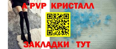 шишки Гагарин