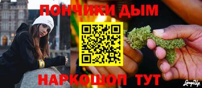 шишки Гагарин