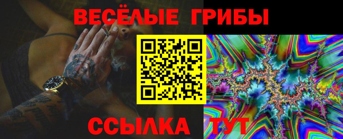 Новороссийск  где купить наркоту  Вход с VPN  Галлюциногенные грибы Magic Shrooms  Псилоцибиновые грибы Psilocybine cubensis 